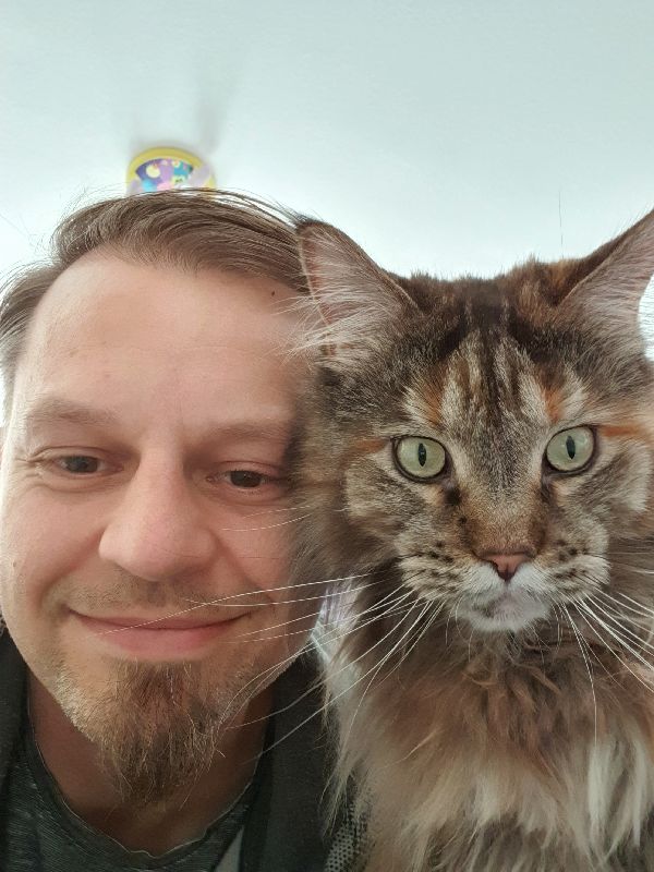 Cat Sitting Köln Katze Minou Selfie mit Mr Cat Cologne