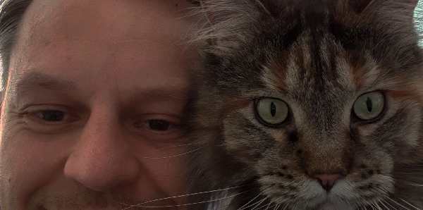 Katzen Psychologe und Sitter Köln Maine Coone Katze Minou Selfie mit Mr Cat
